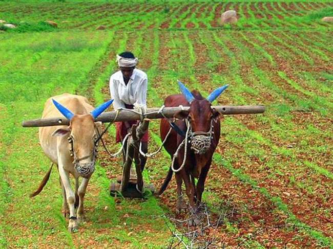 Tamil Nadu