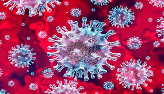 The WHO study on the origin of the coronavirus is underway. The Indian Ministry of External Affairs supported the WHO study.