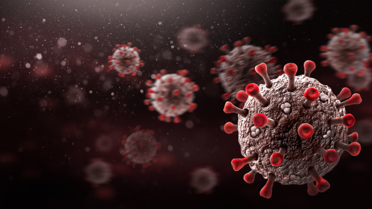 Coronavirus : 36,571 new cases of corona registered in last 24 hours, 540 deaths.