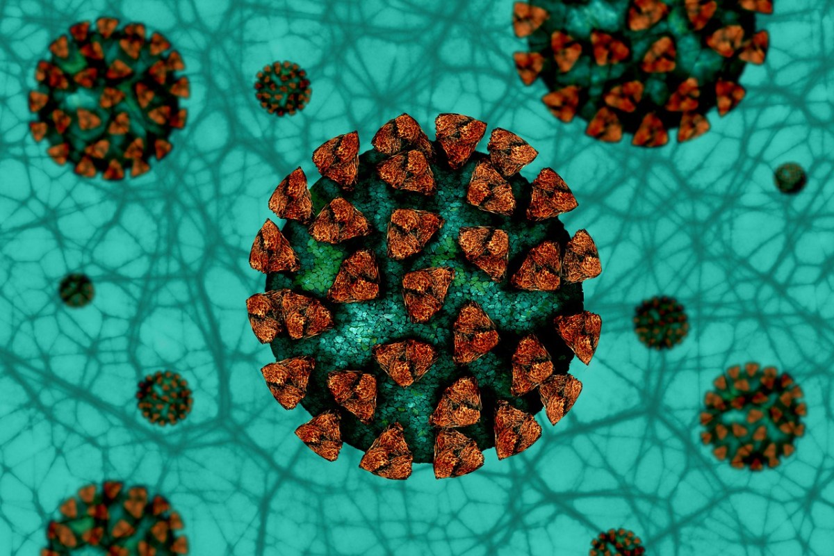 Coronavirus : 30,549 cases of corona reported in the last 24 hours, 422 deaths.