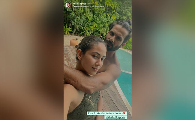 Mira Kapoor shared selfie with husband Shahid Kapoor, was seen enjoying in the pool.