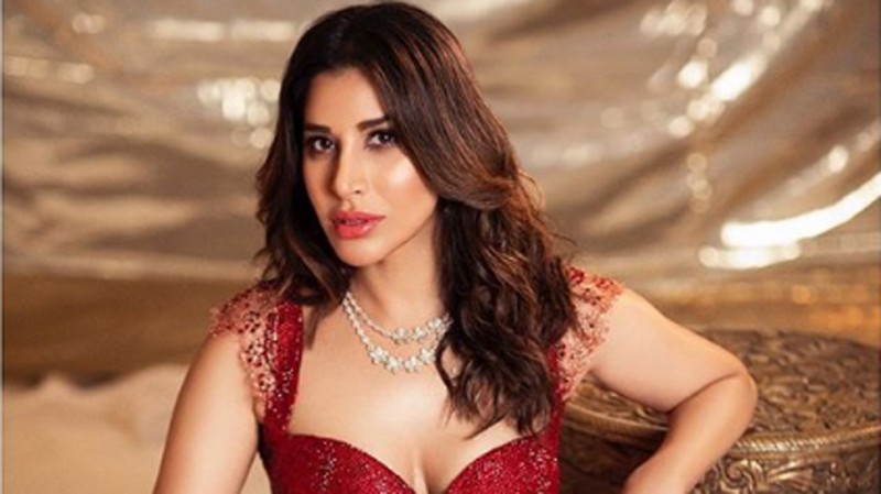 Sophie Chaudhary gave tremendous expressions on the song 'Bijlee Bijlee', video went viral.