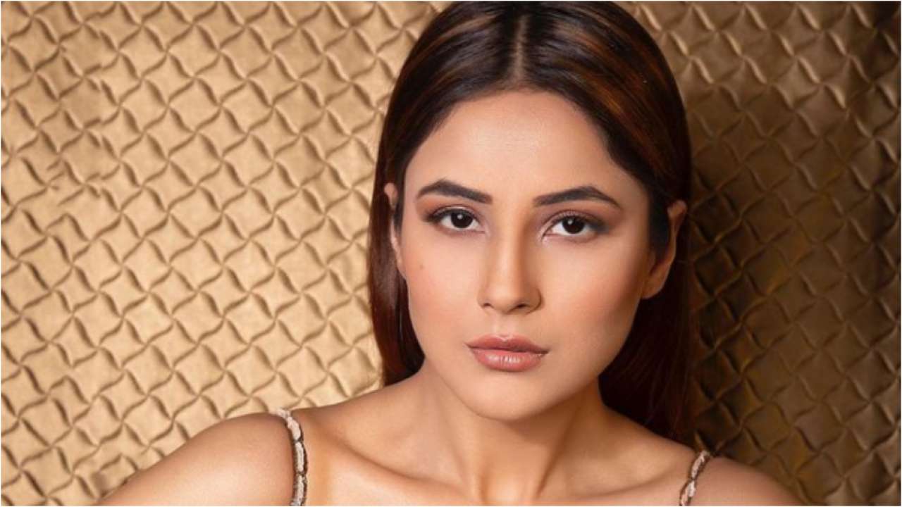 See the latest photoshoots of Shehnaaz Gill, See photos