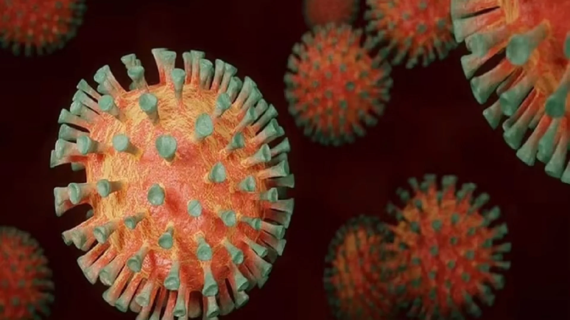 Coronavirus : 2,568 new cases of corona were registered in India in the last 24 hours, 97 people died.