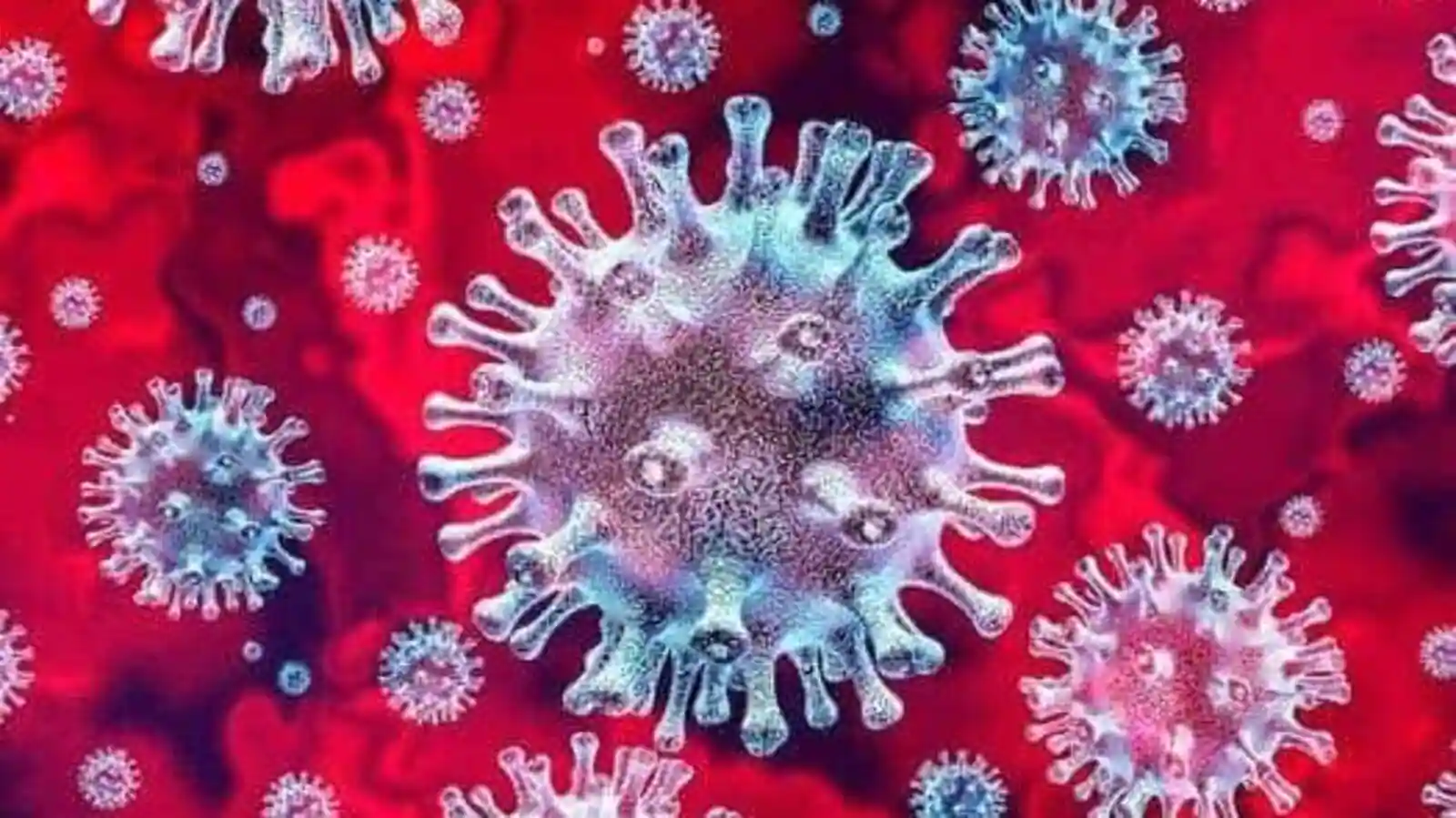 Coronavirus : 12% reduction in new corona cases, 1549 cases registered in 24 hours, 31 deaths.