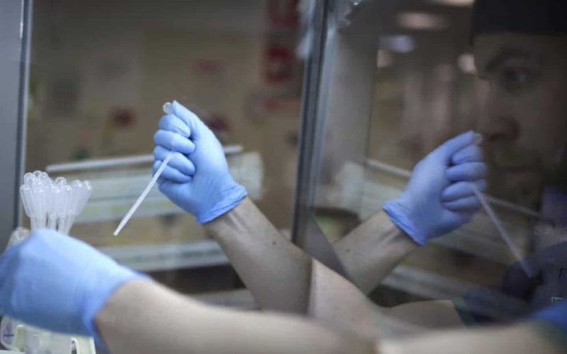 Chinese sperm banks