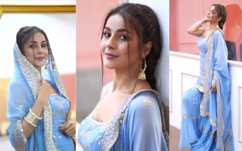 shehnaaz gill